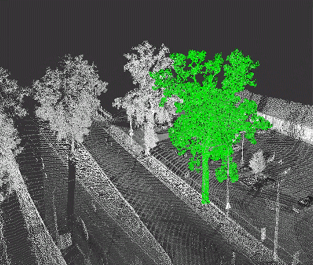 Terrestrial LiDAR survey showing vegetation for analysis