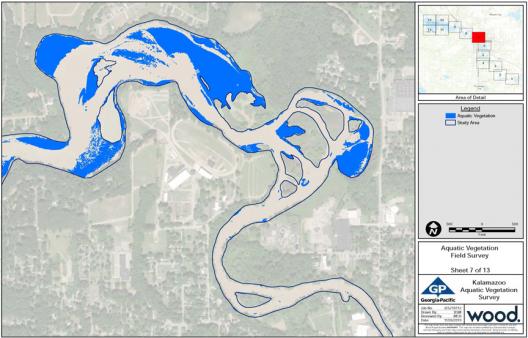 Remote sensing SAV data overlaid on Surdex imagery