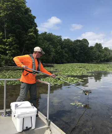 Field survey of submerged aquatic vegetation